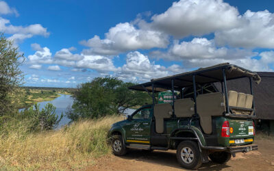 Why a Photographic Safari in Africa Should Be Your Next Adventure