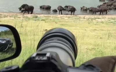 Photographic Safaris & Top African Wildlife Competitions 2026