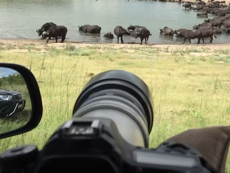 Person taking photos on a Photographic Safari