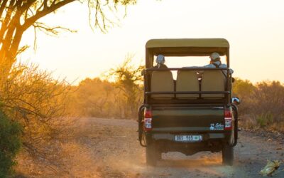 How to Prepare Your Camera Gear for Different African Safari Environments