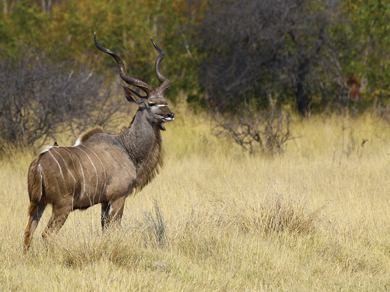best african photo safari tours