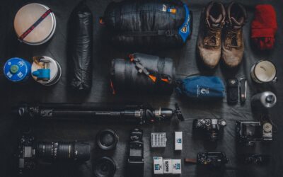 Tips for Booking a Photo Safari in Kruger Without Regret