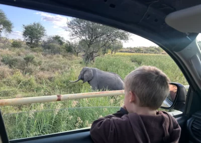 Full Day Family Safari