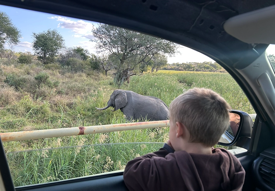 Full Day Family Safari