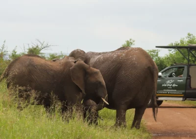 2-Tages Fotografische Safari — Kurz & Kompakt, Perfekt Ausgefüllt