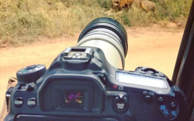 Camera Settings for a Photo Safari: A Step-by-Step Manual Mode Guide for Kruger